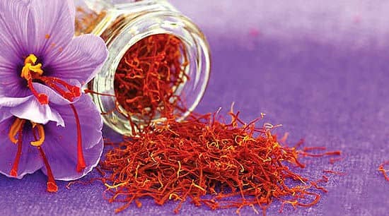 Application of saffron