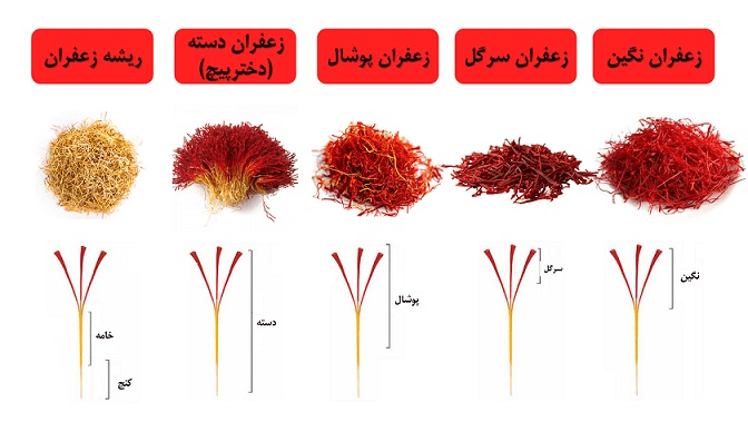 Types of saffron
