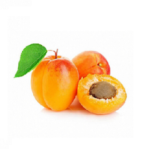 Apricot for export