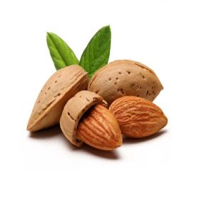 Persian almond